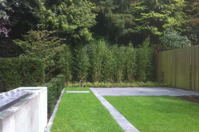 2 maanden later groen gras bamboe op de achtergrond betonmuur 70x50x550 vaste planten border met geurdende lavendel dw p9